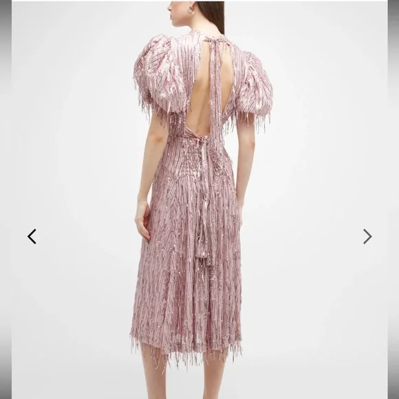 Rotate Birger Christensen Dawn Sequins Fringes Dress - Worn Once - Picture 3 of 9